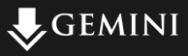 Gemini Sign Products